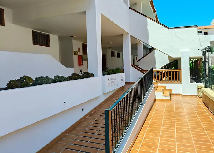 Cozy Ocean Park Апартаменты Адехе